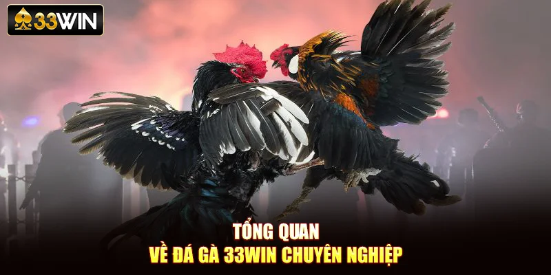 Tổng quan về đá gà 33Win chuyên nghiệp