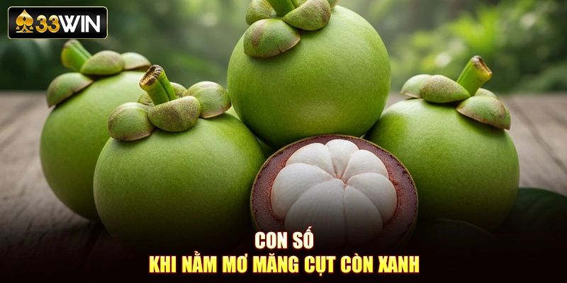 Con số khi nằm mơ măng cụt còn xanh