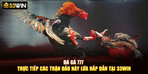 Đá Gà 777 – Trực Tiếp Các Trận Đấu Nảy Lửa Hấp Dẫn Tại 33Win