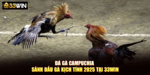 Đá Gà Campuchia – Sảnh Đấu Gà Kịch Tính 2025 Tại 33Win