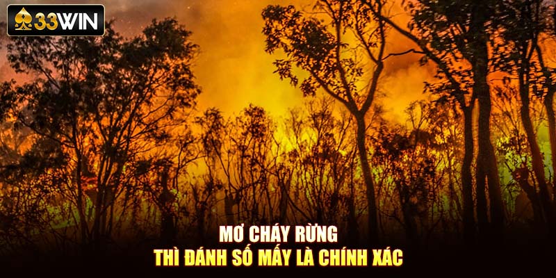 Mơ cháy rừng thì đánh số mấy là chính xác