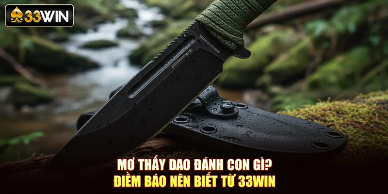 Mơ Thấy Dao Đánh Con Gì? Điềm Báo Nên Biết Từ 33Win
