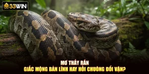 Mơ Thấy Rắn – Giấc Mộng Bản Lĩnh Hay Hồi Chuông Đổi Vận?