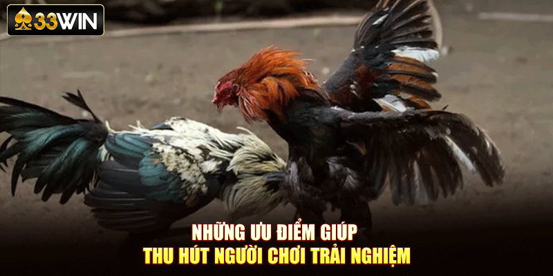 Những ưu điểm giúp thu hút người chơi trải nghiệm
