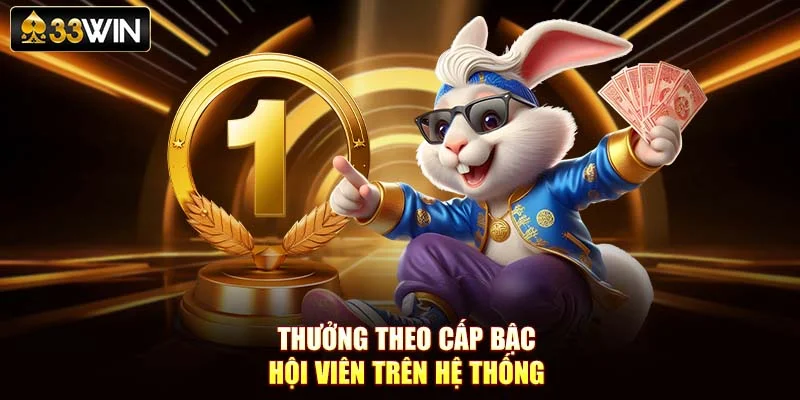 Thưởng theo cấp bậc hội viên trên hệ thống