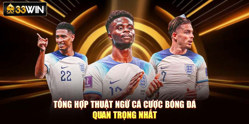 Tổng hợp thuật ngữ cá cược bóng đá quan trọng nhất